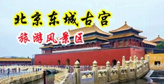 欠干的小骚逼视频中国北京-东城古宫旅游风景区